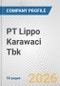 PT Lippo Karawaci Tbk Fundamental Company Report Including Financial, SWOT, Competitors and Industry Analysis - Product Thumbnail Image