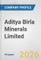 Aditya Birla Minerals Limited Fundamental Company Report Including Financial, SWOT, Competitors and Industry Analysis - Product Thumbnail Image