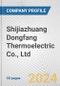 Shijiazhuang Dongfang Thermoelectric Co., Ltd. Fundamental Company Report Including Financial, SWOT, Competitors and Industry Analysis - Product Thumbnail Image
