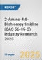 2-Amino-4,6-Dichloropyrimidine (CAS 56-05-3) Industry Research 2025: Global and Regional Market Trends 2019-2024 and Forecast to 2029 - Product Image