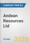 Andean Resources Ltd. Fundamental Company Report Including Financial, SWOT, Competitors and Industry Analysis - Product Thumbnail Image