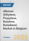 Alkenes (Ethylene, Propylene, Butylene, Butadiene) Market in Belgium: Business Report 2025 - Product Thumbnail Image