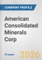 American Consolidated Minerals Corp. Fundamental Company Report Including Financial, SWOT, Competitors and Industry Analysis - Product Thumbnail Image