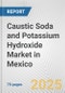 Caustic Soda and Potassium Hydroxide Market in Mexico: Business Report 2024 - Product Thumbnail Image