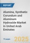 Alumina, Synthetic Corundum and Aluminum Hydroxide Market in United Arab Emirates: Business Report 2025 - Product Thumbnail Image