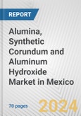 Alumina, Synthetic Corundum and Aluminum Hydroxide Market in Mexico: Business Report 2024- Product Image