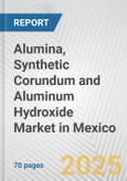 Alumina, Synthetic Corundum and Aluminum Hydroxide Market in Mexico: Business Report 2024- Product Image