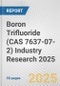 Boron Trifluoride (CAS 7637-07-2) Industry Research 2025: Global and Regional Market Trends 2019-2024 and Forecast to 2029 - Product Image