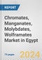 Chromates, Manganates, Molybdates, Wolframates Market in Egypt: Business Report 2024 - Product Thumbnail Image