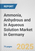 Ammonia, Anhydrous And In Aqueous Solution Market in Germany: Business Report 2024- Product Image