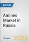 Amines Market in Russia: Business Report 2022 - Product Thumbnail Image