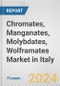 Chromates, Manganates, Molybdates, Wolframates Market in Italy: Business Report 2024 - Product Thumbnail Image