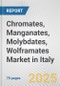 Chromates, Manganates, Molybdates, Wolframates Market in Italy: Business Report 2024 - Product Image