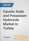 Caustic Soda and Potassium Hydroxide Market in Turkey: Business Report 2022 - Product Thumbnail Image