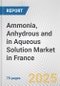 Ammonia, Anhydrous and in Aqueous Solution Market in France: Business Report 2025 - Product Image