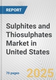 Sulphites and Thiosulphates Market in United States: Business Report 2024- Product Image