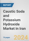 Caustic Soda and Potassium Hydroxide Market in Iran: Business Report 2024- Product Image