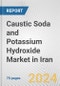 Caustic Soda and Potassium Hydroxide Market in Iran: Business Report 2024 - Product Thumbnail Image