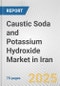 Caustic Soda and Potassium Hydroxide Market in Iran: Business Report 2025 - Product Thumbnail Image