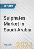 Sulphates Market in Saudi Arabia: Business Report 2024- Product Image