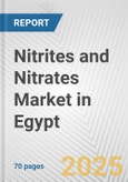Nitrites and Nitrates Market in Egypt: Business Report 2025- Product Image