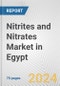 Nitrites and Nitrates Market in Egypt: Business Report 2022 - Product Thumbnail Image