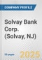 Solvay Bank Corp. (Solvay, NJ) Fundamental Company Report Including Financial, SWOT, Competitors and Industry Analysis - Product Thumbnail Image