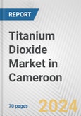 Titanium Dioxide Market in Cameroon: Business Report 2024- Product Image