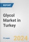 Glycol Market in Turkey: Business Report 2022 - Product Thumbnail Image