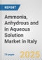 Ammonia, Anhydrous And In Aqueous Solution Market in Italy: Business Report 2024 - Product Image