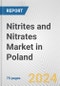 Nitrites and Nitrates Market in Poland: Business Report 2022 - Product Thumbnail Image