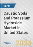 Caustic Soda and Potassium Hydroxide Market in United States: Business Report 2024- Product Image