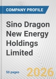 Sino Dragon New Energy Holdings Limited Fundamental Company Report Including Financial, SWOT, Competitors and Industry Analysis- Product Image