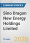 Sino Dragon New Energy Holdings Limited Fundamental Company Report Including Financial, SWOT, Competitors and Industry Analysis - Product Thumbnail Image