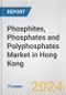 Phosphites, phosphates and polyphosphates Market in Hong Kong: Business Report 2022 - Product Thumbnail Image