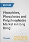 Phosphites, Phosphates and Polyphosphates Market in Hong Kong: Business Report 2024 - Product Thumbnail Image