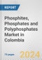 Phosphites, phosphates and polyphosphates Market in Colombia: Business Report 2022 - Product Thumbnail Image