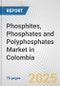 Phosphites, Phosphates and Polyphosphates Market in Colombia: Business Report 2024 - Product Thumbnail Image