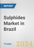 Sulphides Market in Brazil: Business Report 2024- Product Image