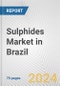 Sulphides Market in Brazil: Business Report 2022 - Product Thumbnail Image