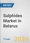 Sulphides Market in Belarus: Business Report 2022 - Product Thumbnail Image