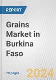 Grains Market in Burkina Faso: Business Report 2024- Product Image