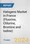 Halogens Market in France (Fluorine, Chlorine, Bromine and Iodine): Business Report 2022 - Product Thumbnail Image