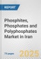 Phosphites, Phosphates and Polyphosphates Market in Iran: Business Report 2024 - Product Thumbnail Image