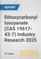 Ethoxycarbonyl Isocyanate (CAS 19617-43-7) Industry Research 2025: Global and Regional Market Trends 2019-2024 and Forecast to 2029 - Product Thumbnail Image