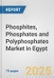 Phosphites, Phosphates and Polyphosphates Market in Egypt: Business Report 2025 - Product Thumbnail Image