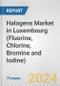 Halogens Market in Luxembourg (Fluorine, Chlorine, Bromine and Iodine): Business Report 2024 - Product Thumbnail Image