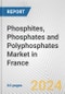 Phosphites, phosphates and polyphosphates Market in France: Business Report 2022 - Product Thumbnail Image