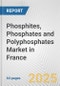 Phosphites, Phosphates and Polyphosphates Market in France: Business Report 2024 - Product Image