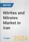 Nitrites and Nitrates Market in Iran: Business Report 2024 - Product Thumbnail Image